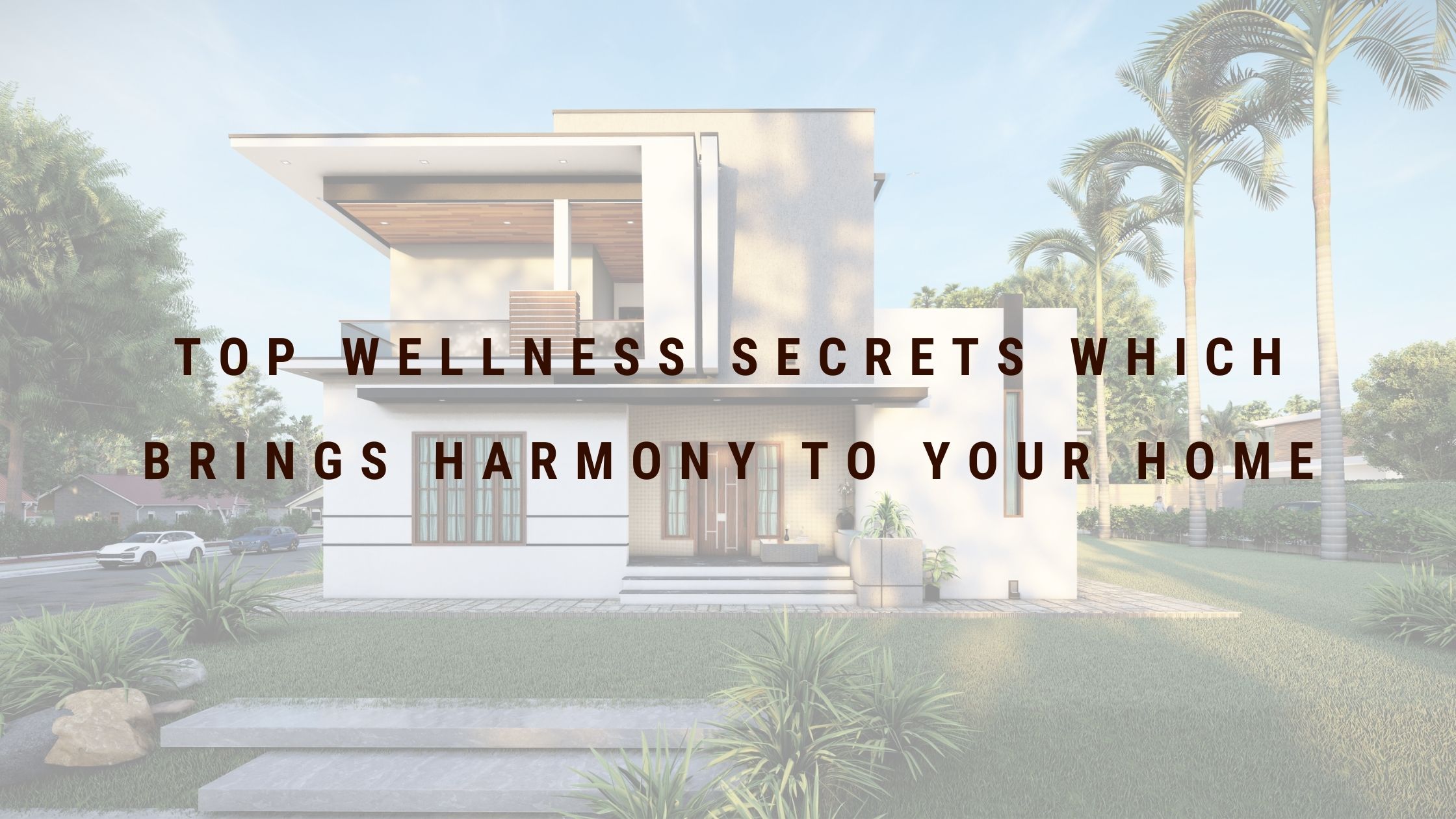 Top wellness secrets which brings harmony to your home